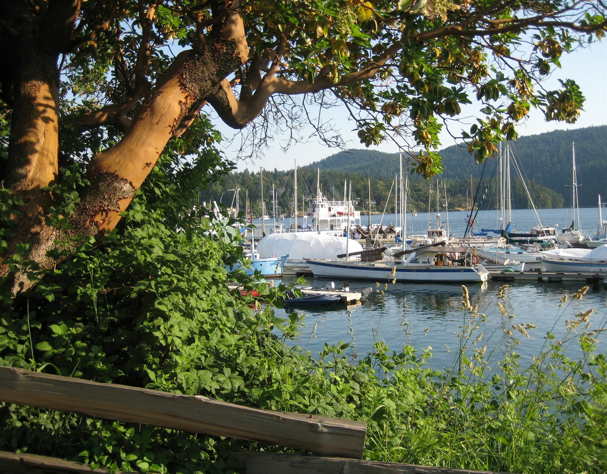 Brentwood Bay Resort & Spa Exterior foto